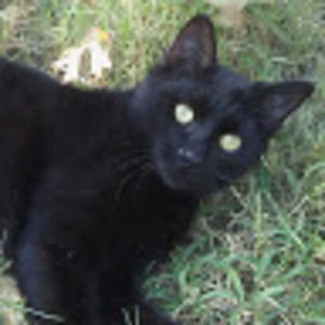 Meet your Posher, Tere